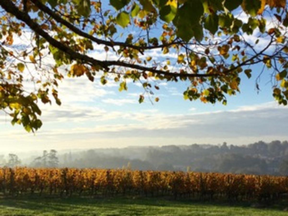 Chateau De La Ligne Lignan-de-Bordeaux Kültér fotó